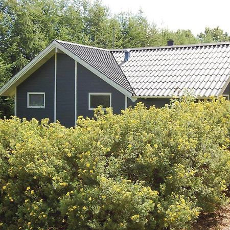 Pet Friendly Home In Oksbol With Wifi エクステリア 写真