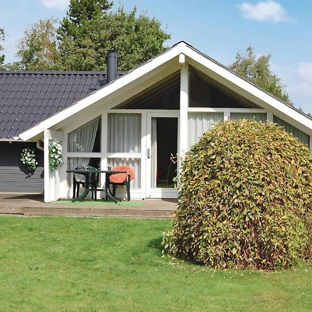 Pet Friendly Home In Oksbol With Wifi エクステリア 写真