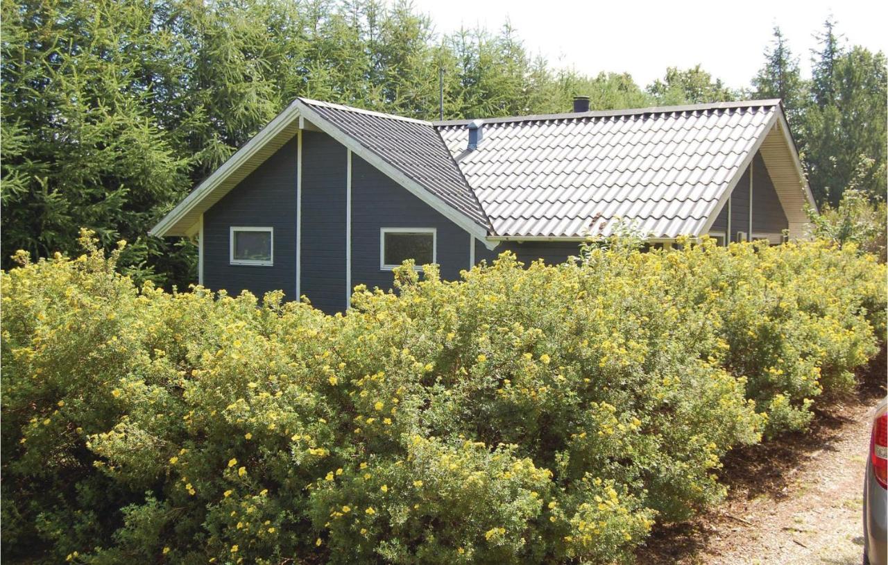 Pet Friendly Home In Oksbol With Wifi エクステリア 写真